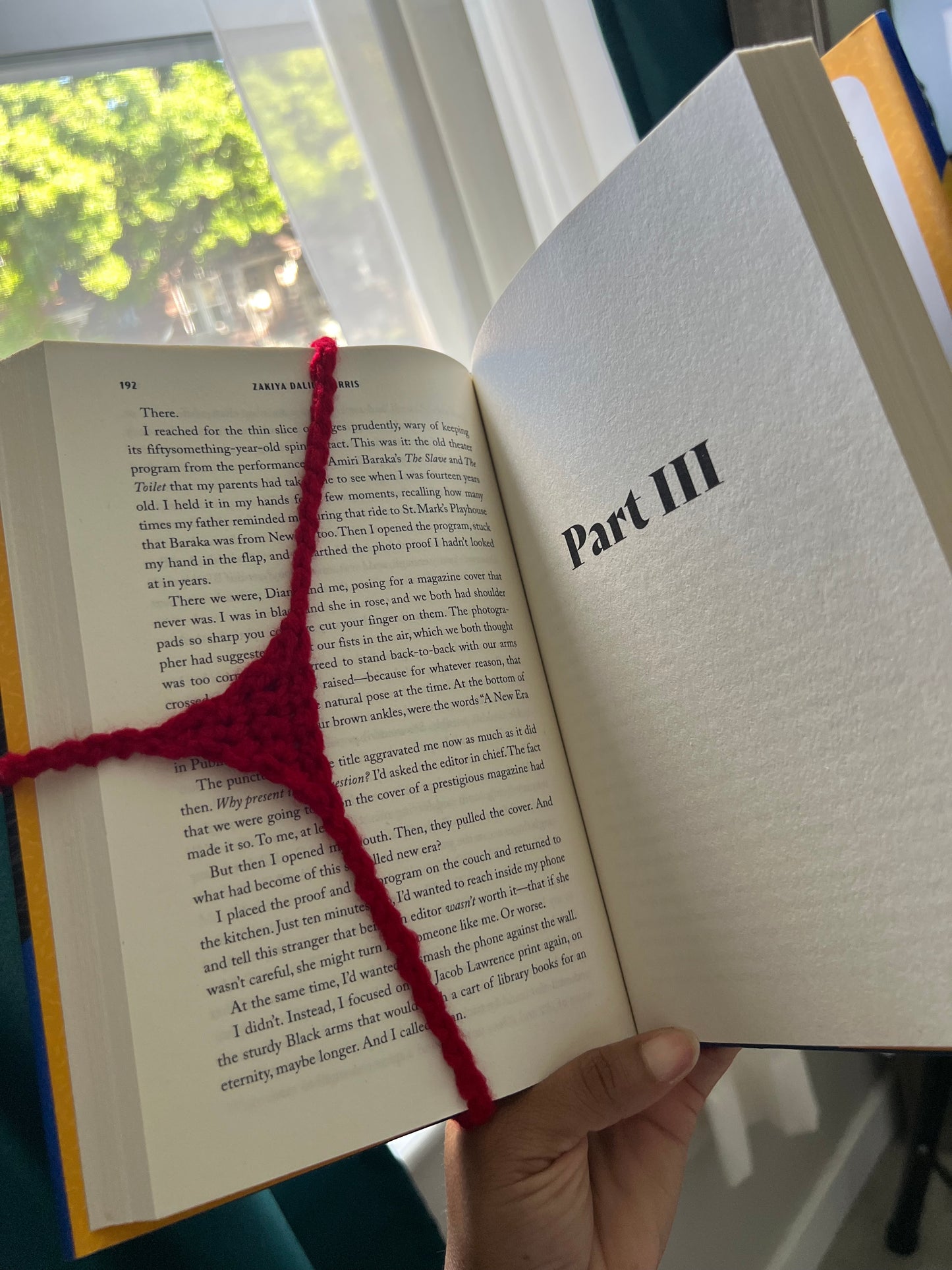 Book Thong (Bookmark)